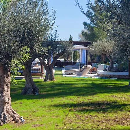 Ribas Ibiza * Sant Llorenç de Balàfia